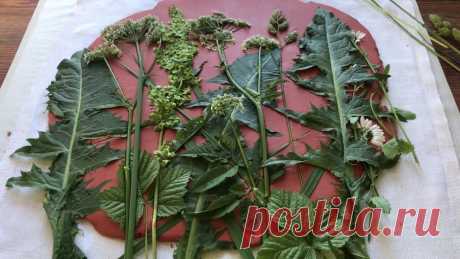 Imprints of Plants/ Plaster/Tutorial/Отпечатки растений/ Мастер-класс/ ПОЛЕВЫЕ ТРАВЫ DEAR FRIENDSPlease remember to SUBSCRIBE  &amp; PUSH THE NOTIFICATION 🔔https://www.youtube.com/channel/UCyBodnJTizQJouYyd8nRQNgIf you love watching my tutorials...