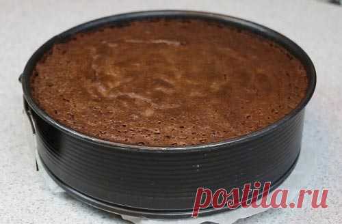 Замечательный шоколадный бисквит «Перфект» Очень вкусный и нежный шоколадный бисквит «Перфект» в разделе видеорецептов на нашем сайте:



http://www.youtube.com/watch?v=SYauaNM1re0
Ингредиенты:
На форму 24-26 см:

200 г муки
5 средних куриных …