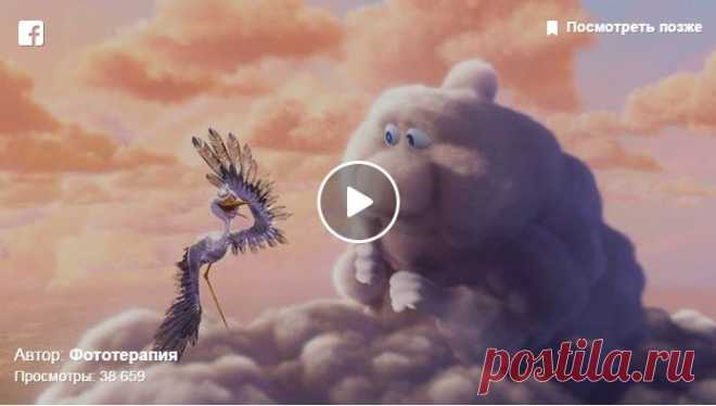 Милейший мультфильм о том, откуда берутся дети – Фитнес для мозга
