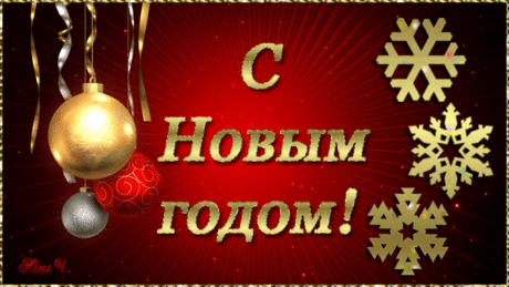Lina Volk | Facebook