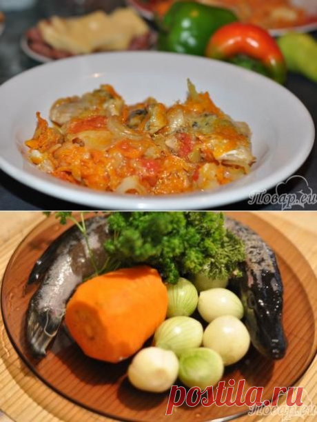 Рецепт - Щука с овощами
