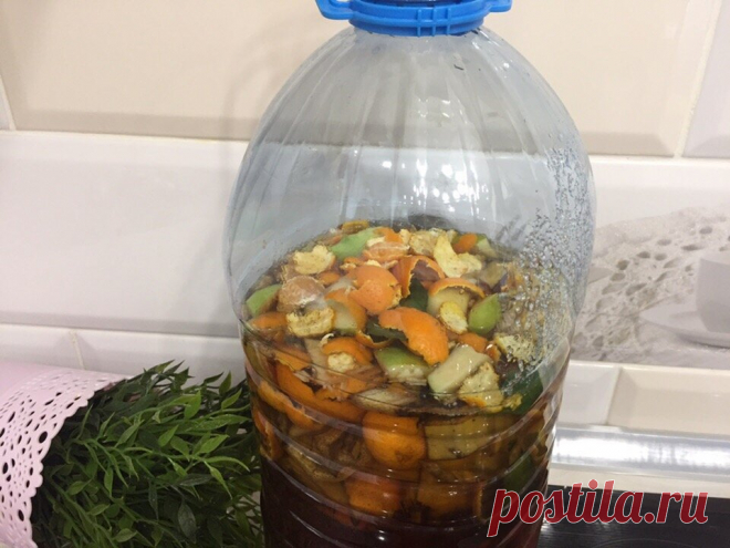 Энзимы своими руками. Готовлюсь к дачному сезону, сейчас самое время... | Вязание и Рукоделие | Яндекс Дзен