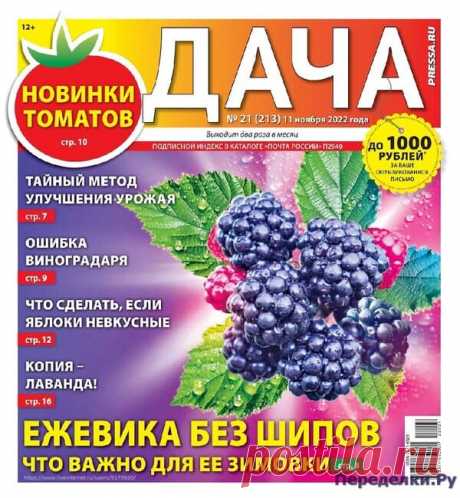 Дача №21 2022 * Переделки.Ру Дача №21 2022 Читать журнал ОНЛАЙН