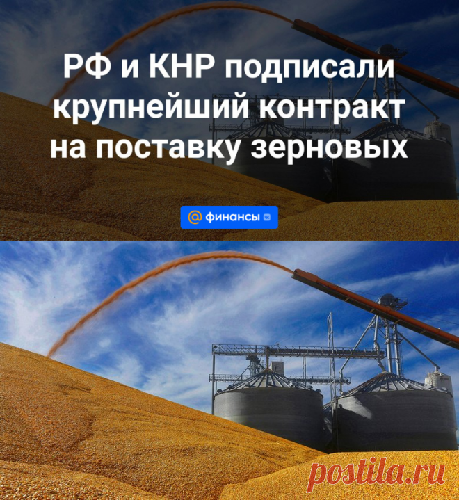 РФ и КНР подписали крупнейший контракт на поставку зерновых | 17 октября 2023 - Финансы Mail.ru