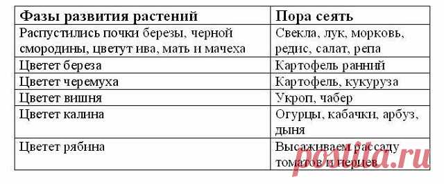 image (640×266)   ЧТО КОГДА САЖАТЬ