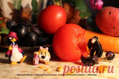 Собаки не любят перец.