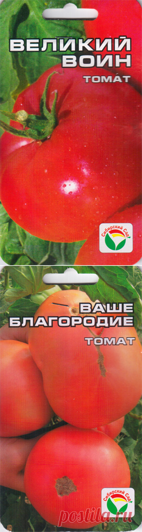 Томаты 2015 - №4