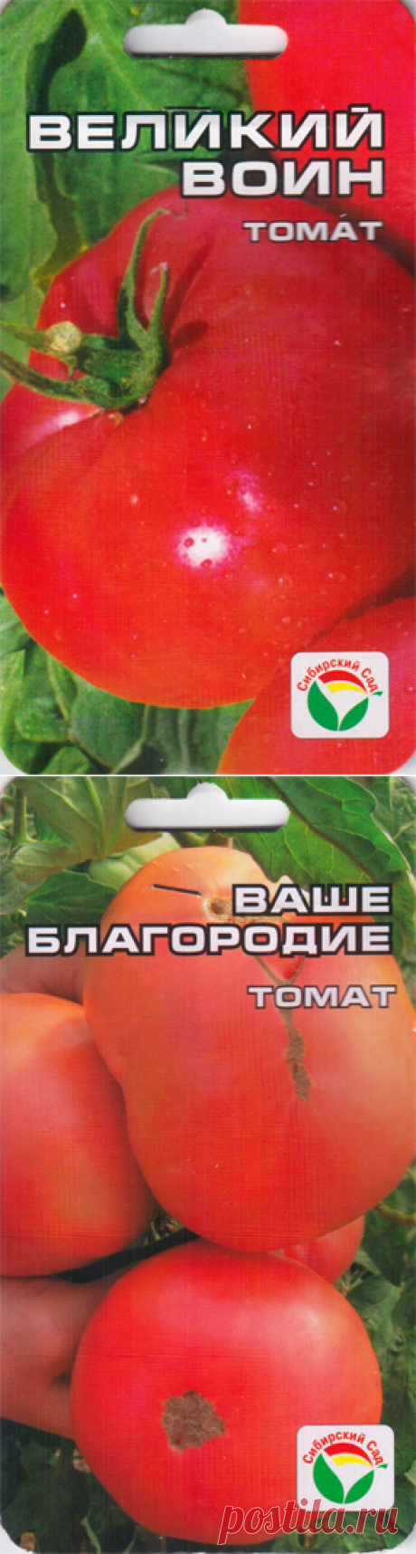 Томаты 2015 - №4