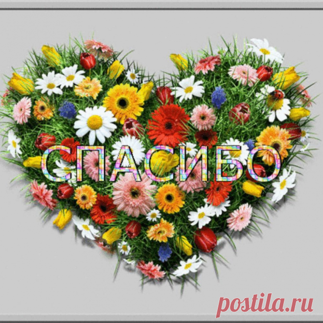 Спасибо за комментарий