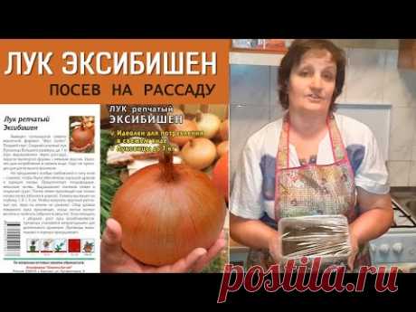 Идеален для потребления в свежем виде. Пошаговое видео посева на рассаду.
