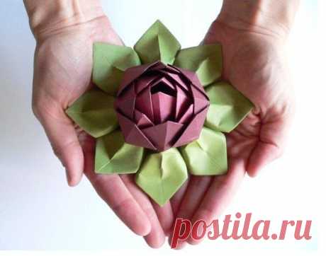 Цветок лотоса — Сделай сам, идеи для творчества - DIY Ideas