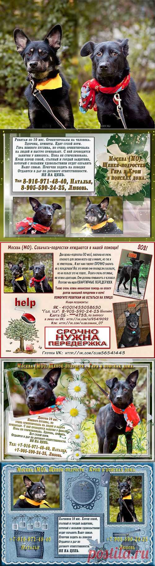 Мой Мир@Mail.Ru