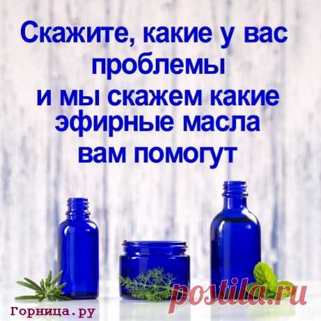 ГОРНИЦА интернет-портал