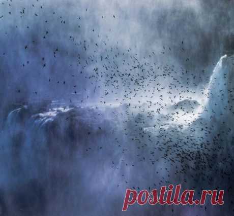 Красивейшие водопады Игуасу