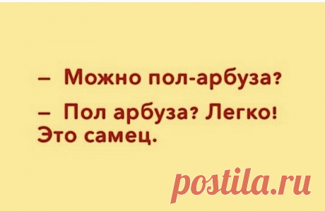Выпуск №6438 - выпуск анекдотов сайта вокруг смеха