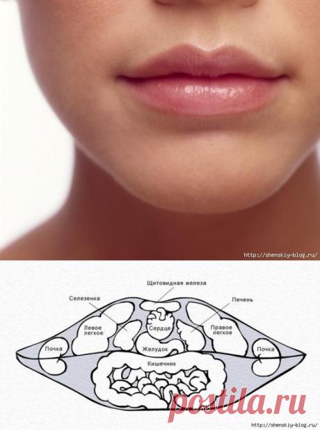 Диагностика заболеваний по губам.