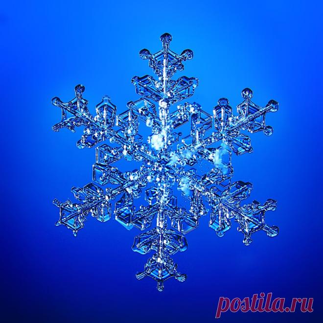 Не сразу поняла, как это снято: невероятной красоты снежинки (настоящие, сделано матушкой-природой и фотографом из Вологды) | Северяночка | Яндекс Дзен