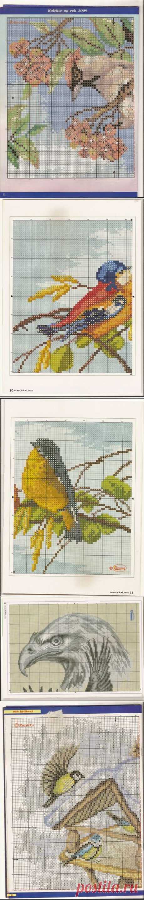 Птицы.Схемы вышивок / Вышивка / Вышивка крестом