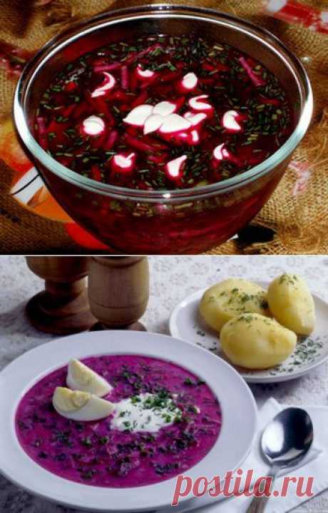 Рецепты холодных борщей (МНОГОооооооооооооо).