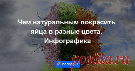Чем натуральным покрасить яйца в разные цвета. Инфографика Чаще всего мы красим яйца для Пасхи луковой шелухой, они получаются коричнево-бурыми. Но на наших кухнях есть немало продуктов, которые не хуже лука окрасят яйца в разные цвета. Желтый или оранжевый — куркума, зеленый — шпинат, насыщенно серо-фиолето...
