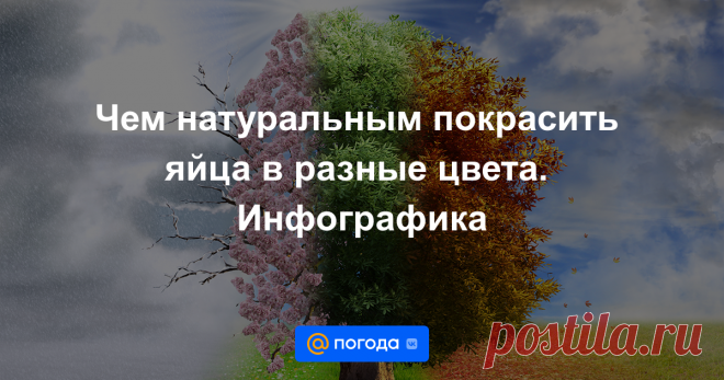 Чем натуральным покрасить яйца в разные цвета. Инфографика Чаще всего мы красим яйца для Пасхи луковой шелухой, они получаются коричнево-бурыми. Но на наших кухнях есть немало продуктов, которые не хуже лука окрасят яйца в разные цвета. Желтый или оранжевый — куркума, зеленый — шпинат, насыщенно серо-фиолето...