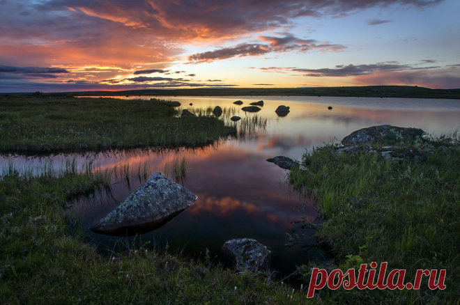 35PHOTO - Андрей Грачев - Тундра.