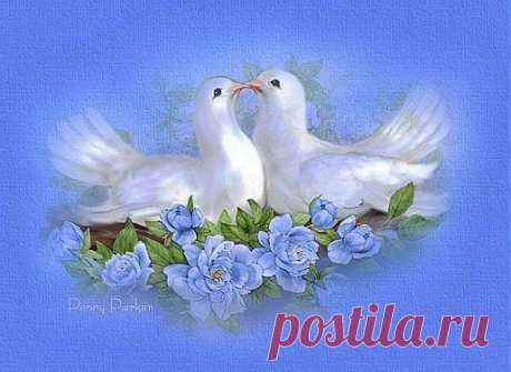 Doves on Blue Flowers | Birds