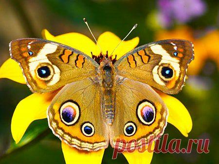 Мой Мир@Mail.Ru