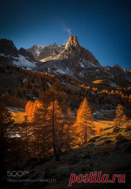 Superb Nature : Photo