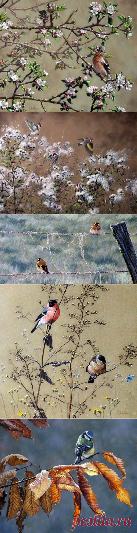 Мир птиц, пастель. Художник Lionel Asselineau