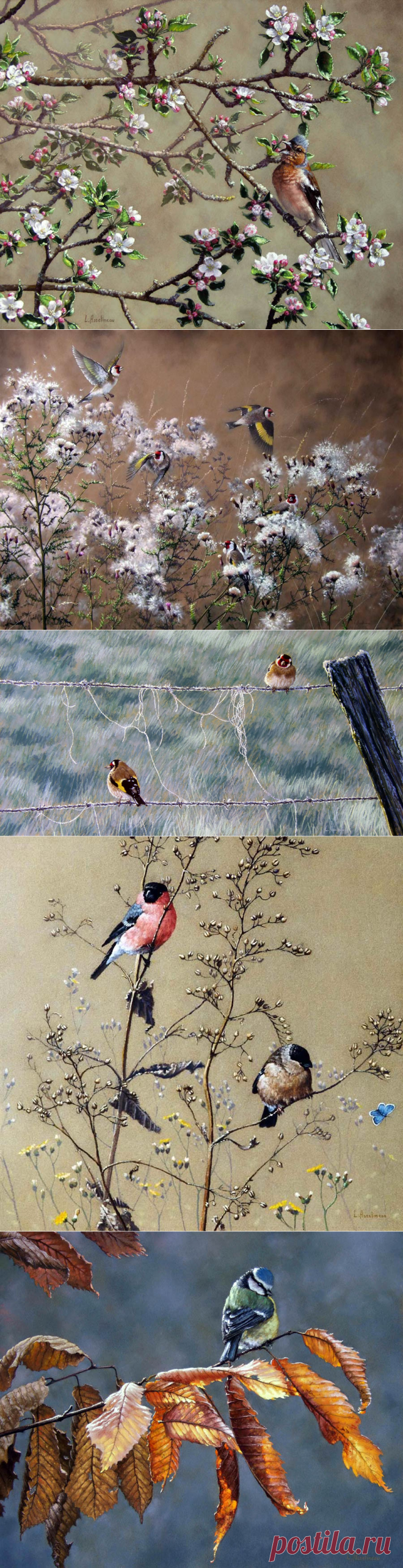 Мир птиц, пастель. Художник Lionel Asselineau