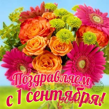 Открытки с 1 сентября - скачайте на Davno.ru