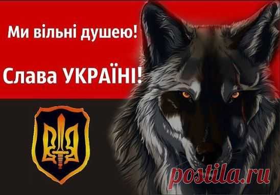 (99) Одноклассники
