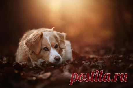 (100+) Мой Мир@Mail.Ru