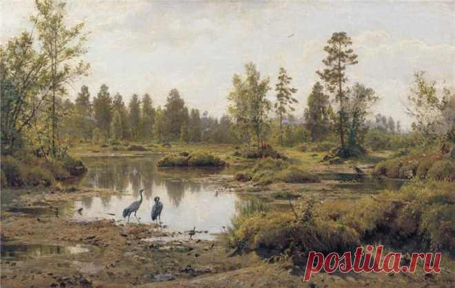 Художник И.Шишкин - 19 фото. Фотографии Ольга Дудина.