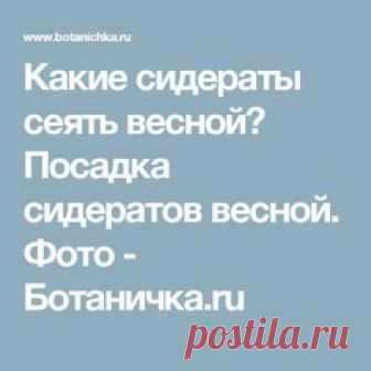 Какие сидераты сеять весной? Посадка сидератов весной. Фото - Ботаничка.ru