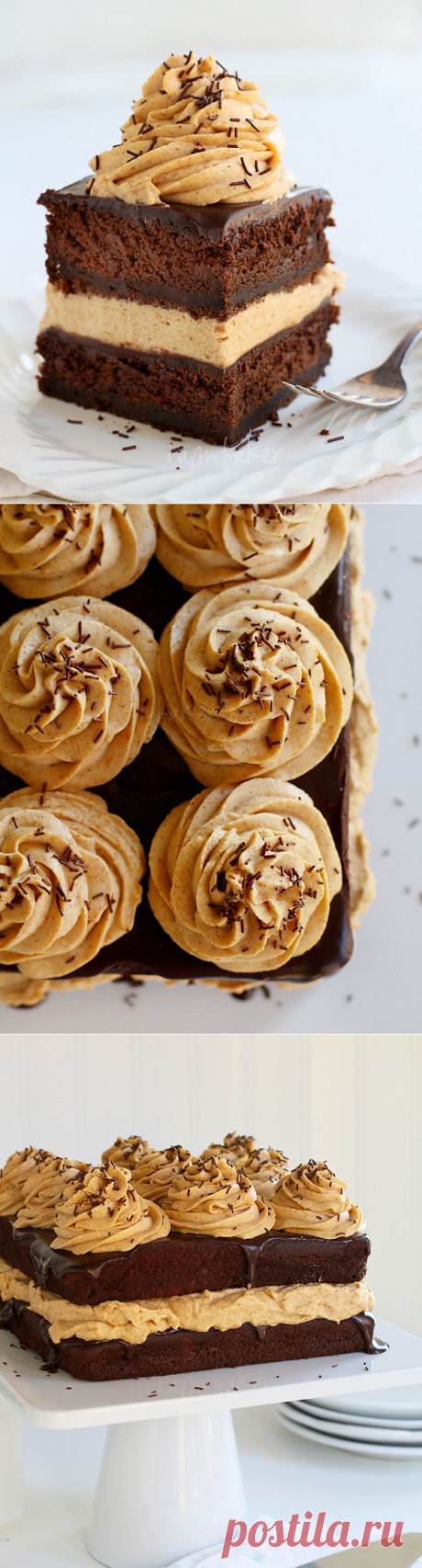 Chocolate Pumpkin Cake - i am baker