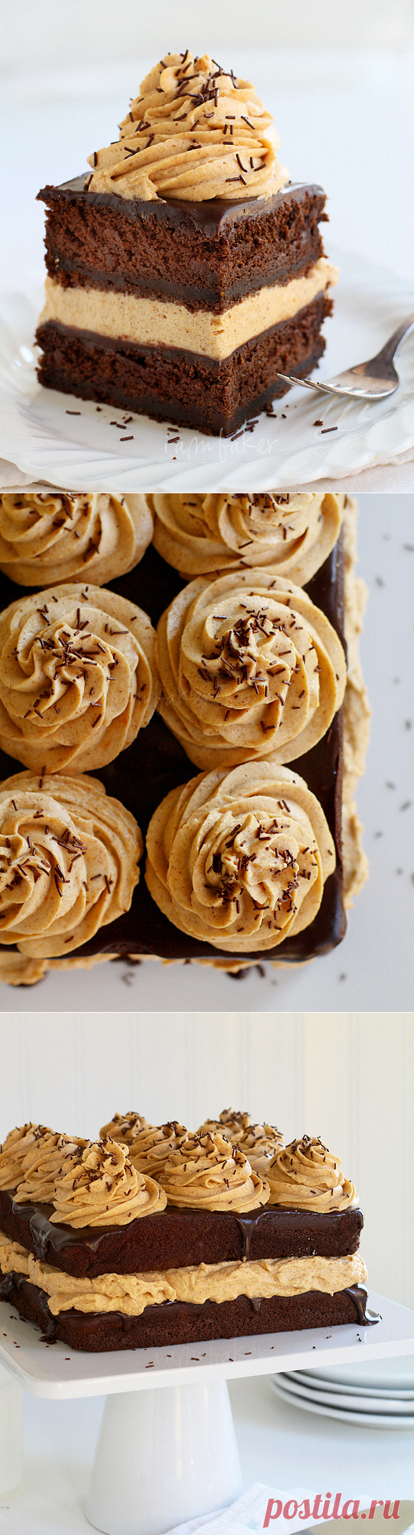 Chocolate Pumpkin Cake - i am baker