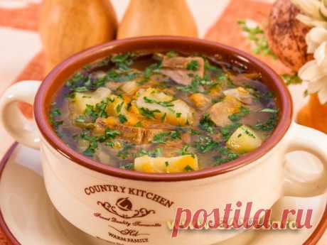 Щи с кислой капустой
