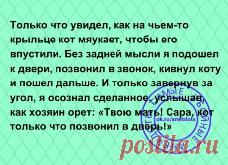 Молодая красивая девушка провела отпуск в одной из южноамериканских стран...