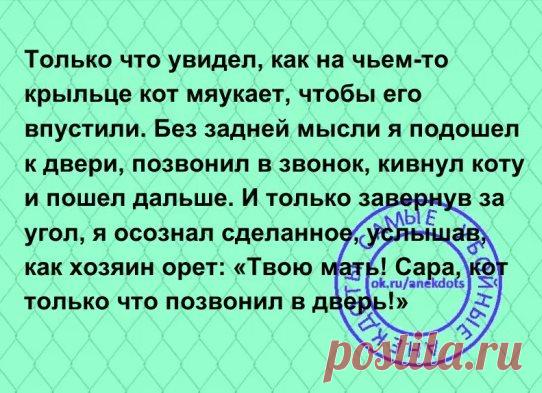 Молодая красивая девушка провела отпуск в одной из южноамериканских стран...