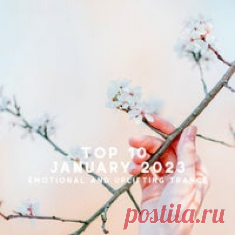 VA - Top 10 January 2023 Emotional and Uplifting Trance [Beyond All The Stars] - HOUSEFTP