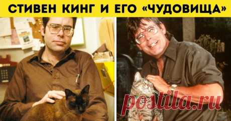 20 фотографий известных писателей, какими их мало кто видел При словах «культовый писатель» на ум приходят два образа: либо человек с невероятно трудной судьбой, который всю жизнь только и занимался, что преодолением бесчисленных несчастий, о чем потом и писал; либо этакий небожитель литературного мира, который всю жизнь провел за рабочим столом, изредка выбираясь на балы, чтобы потренировать свой французский. Но какова же в действительности реальная жизнь легендарных лите...