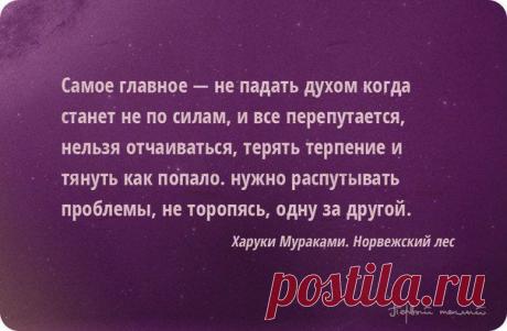 Team Champions -TianDe