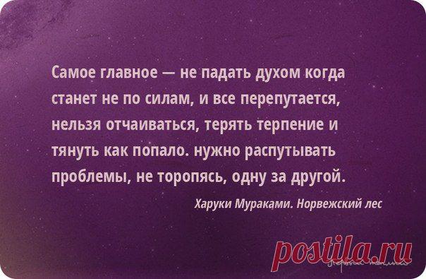 Team Champions -TianDe