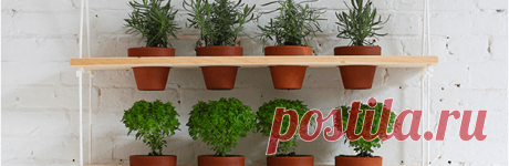 Build A Hanging Herb Garden | Homesteading