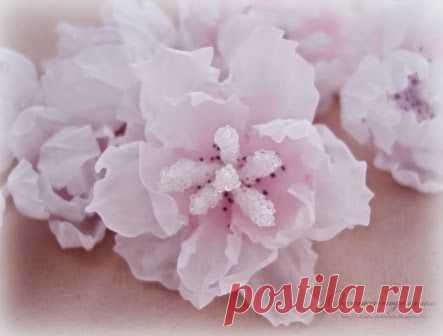 Pinterest