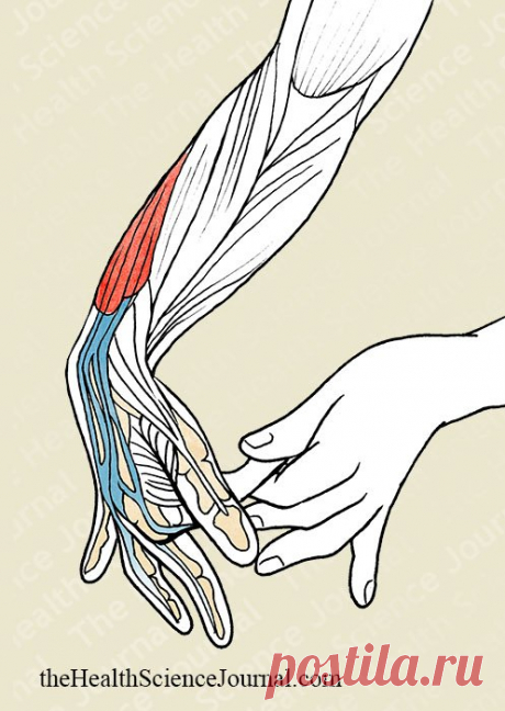 Starting Stretching – 53 Full Body Stretches for Beginners (Part 2) - The Health Science Journal