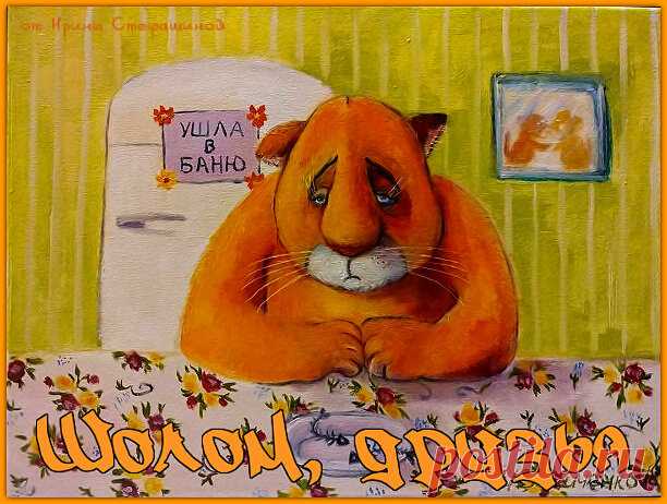 Шолом, друзья. Анекдотики от кота Мартика. | Ирина Стефашина | Яндекс Дзен