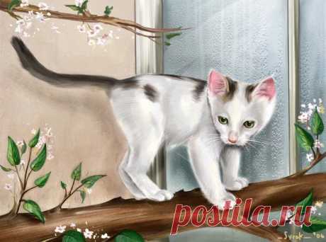 рисунки и картинки кошек и котят: 17 тыс изображений найдено в Яндекс.Картинках